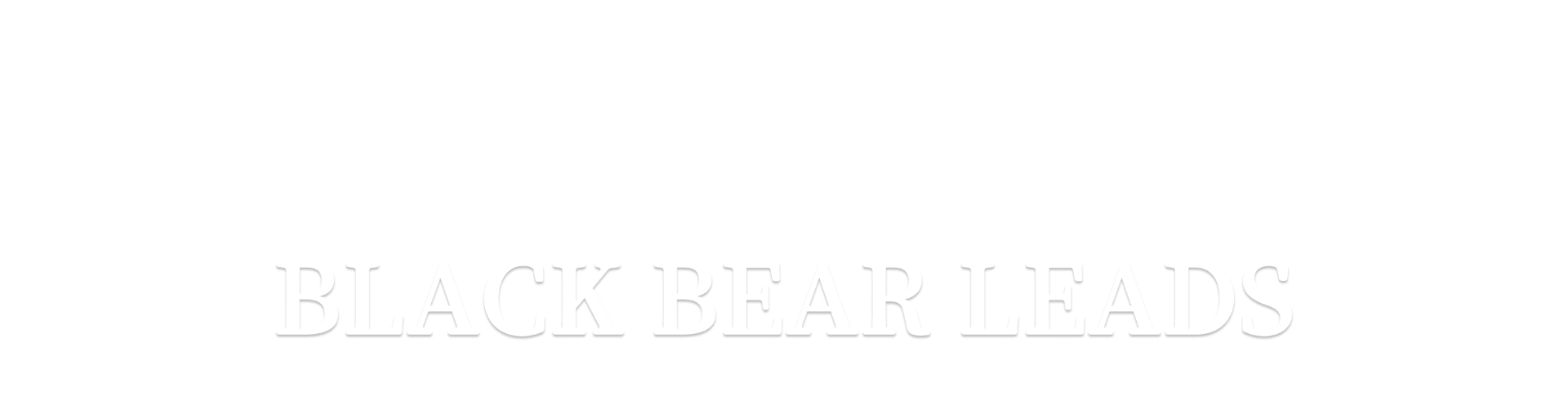 Black Bear Leads